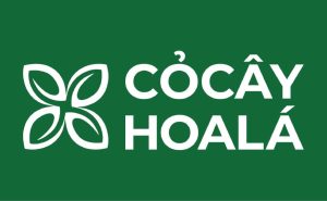 Cỏ cây hoa lá x HAM